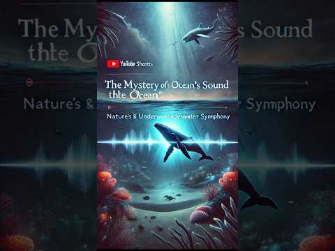The Ocean’s Hidden Symphony: Sounds of the Deep 🌊🐋&quot;