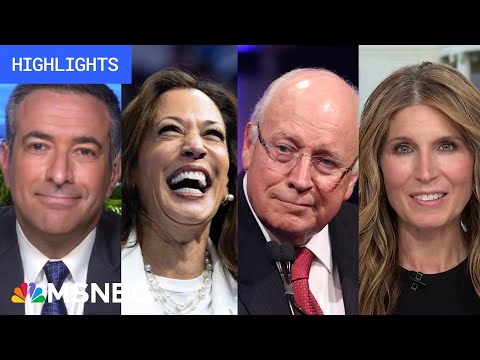 Countdown to the 2024 election: Day 59 | MSNBC Highlights